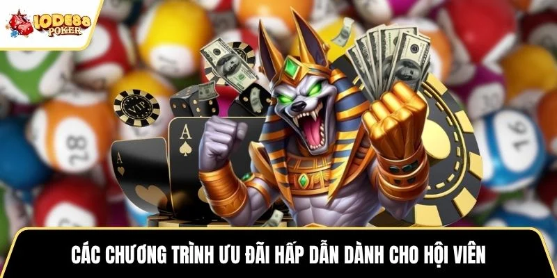Các chương trình ưu đãi hấp dẫn dành cho hội viên
