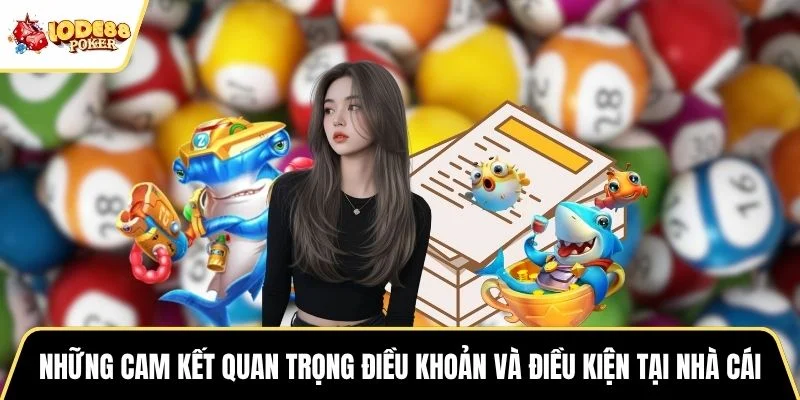 Những cam kết quan trọng trong điều khoản và điều kiện tại nhà cái
