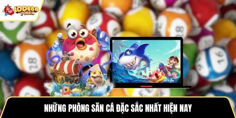 Những phòng săn cá đặc sắc nhất hiện nay